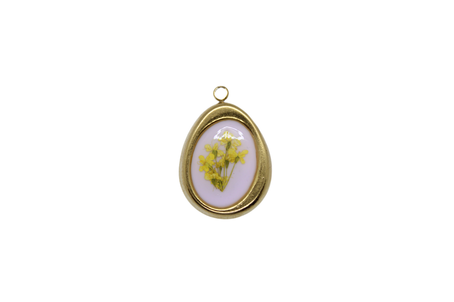 Charm Angelica