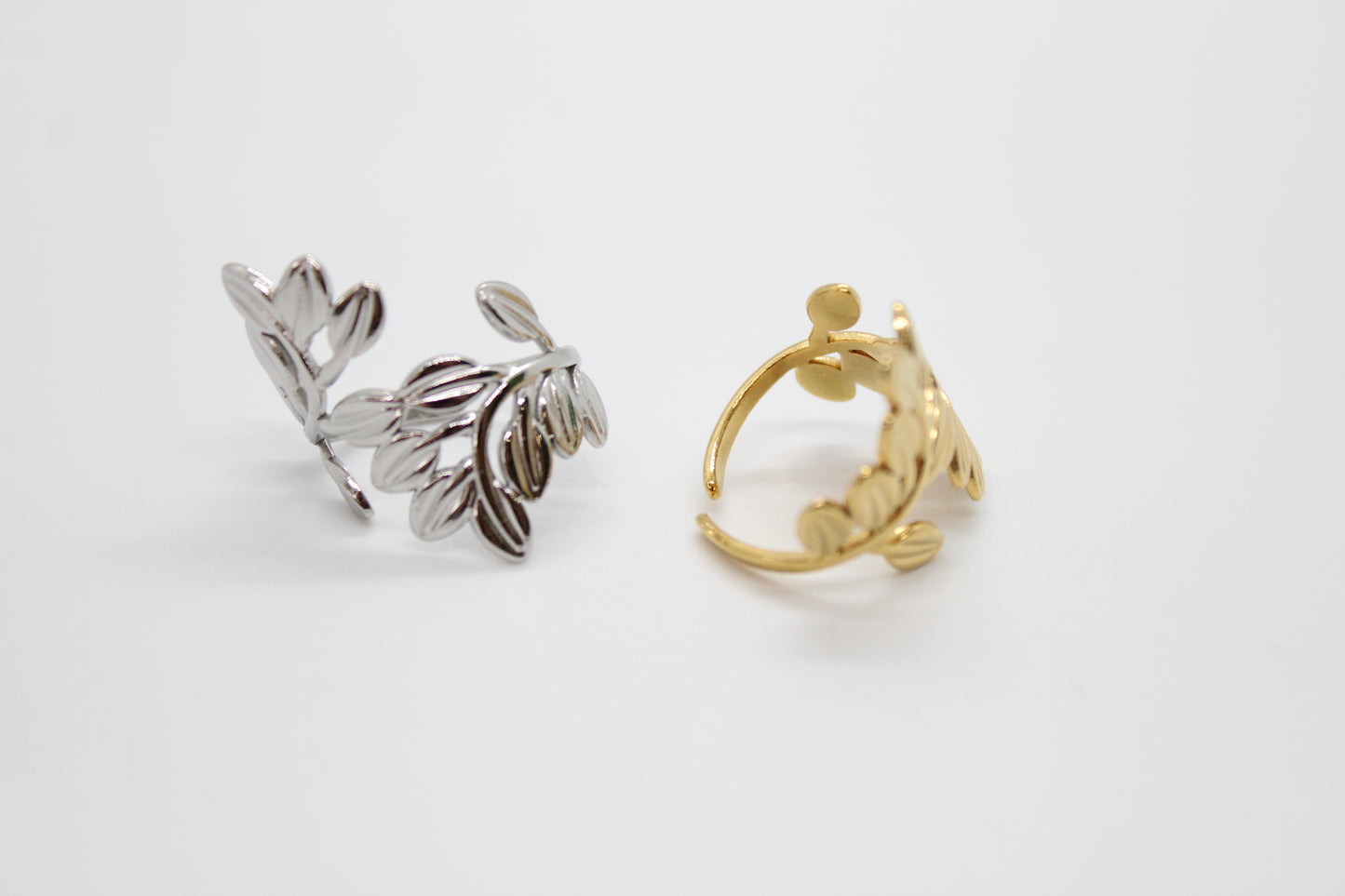 Anello Della Natura