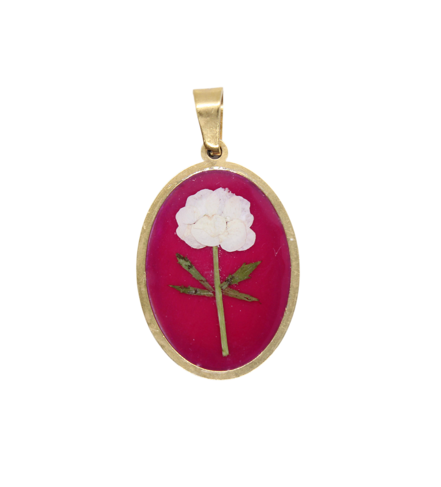 Charm Peonia