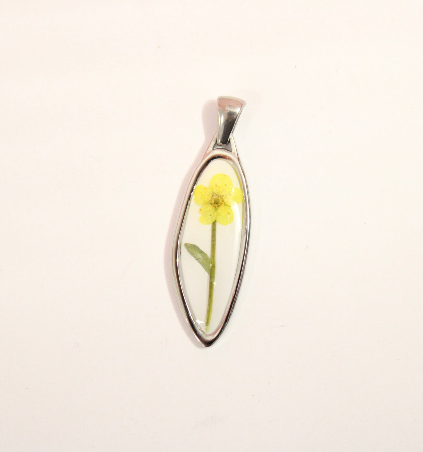 Charm Spring