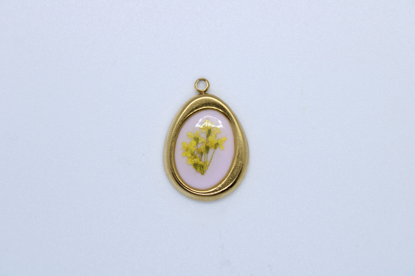 Charm Angelica