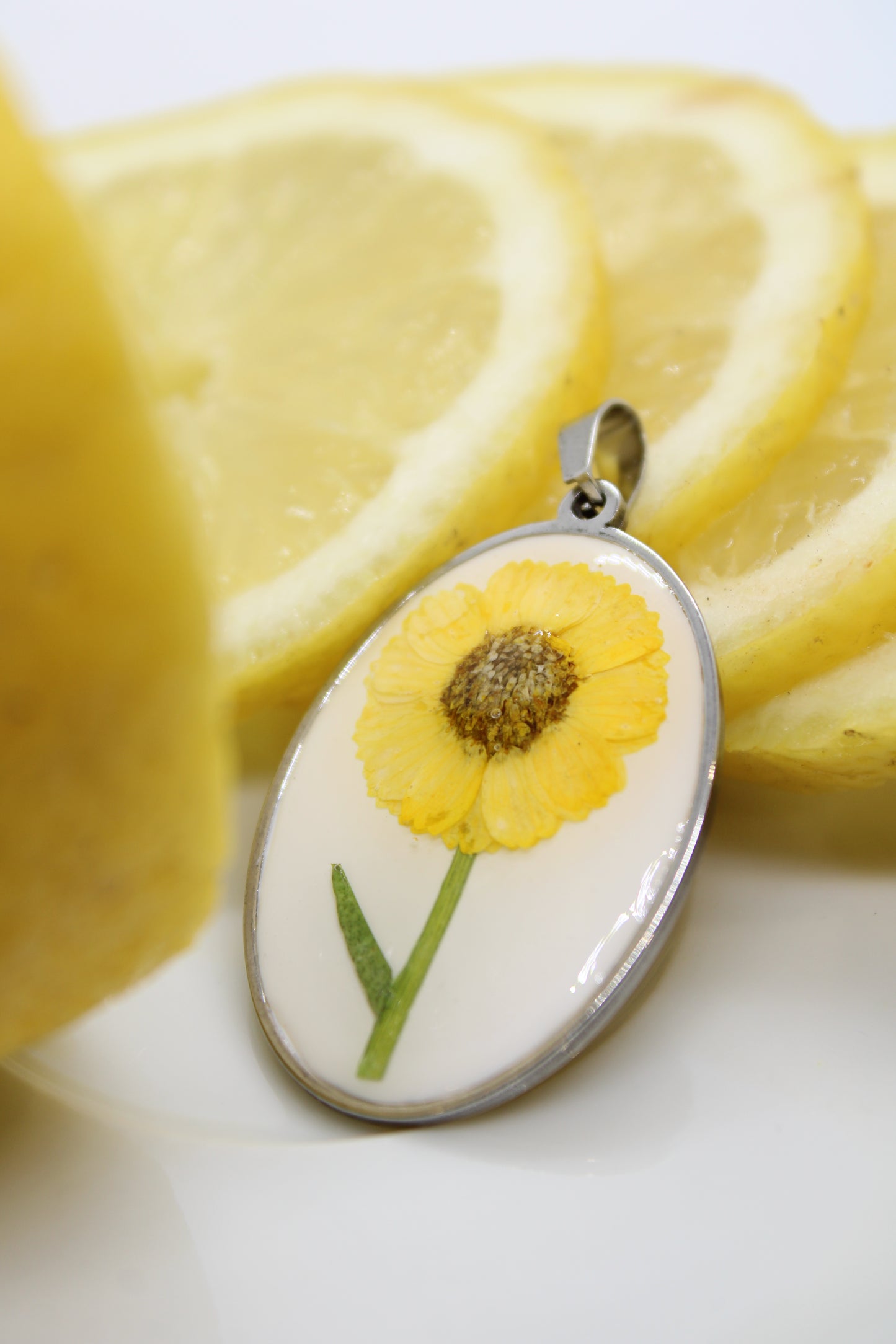 Charm Girasole