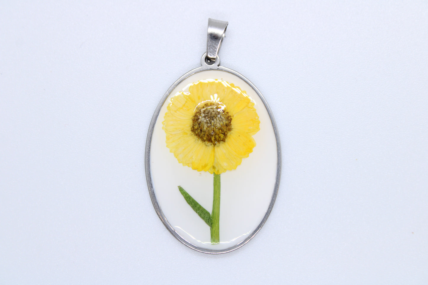 Charm Girasole