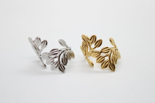 Anello Della Natura