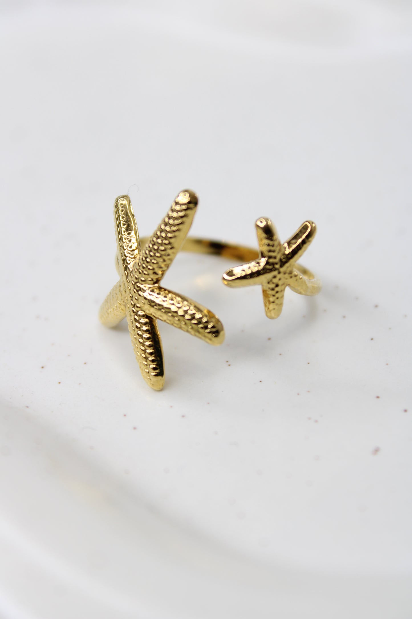 Anello Double Star