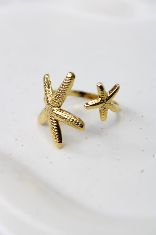 Anello Double Star