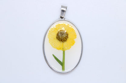 Charm Girasole