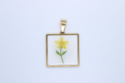 Charm Yellow